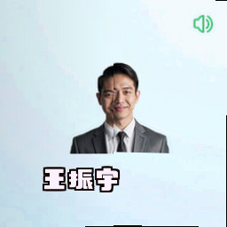 王振宇