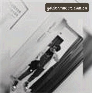 孙磊